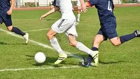 龙8国际 产品 115748 3d8